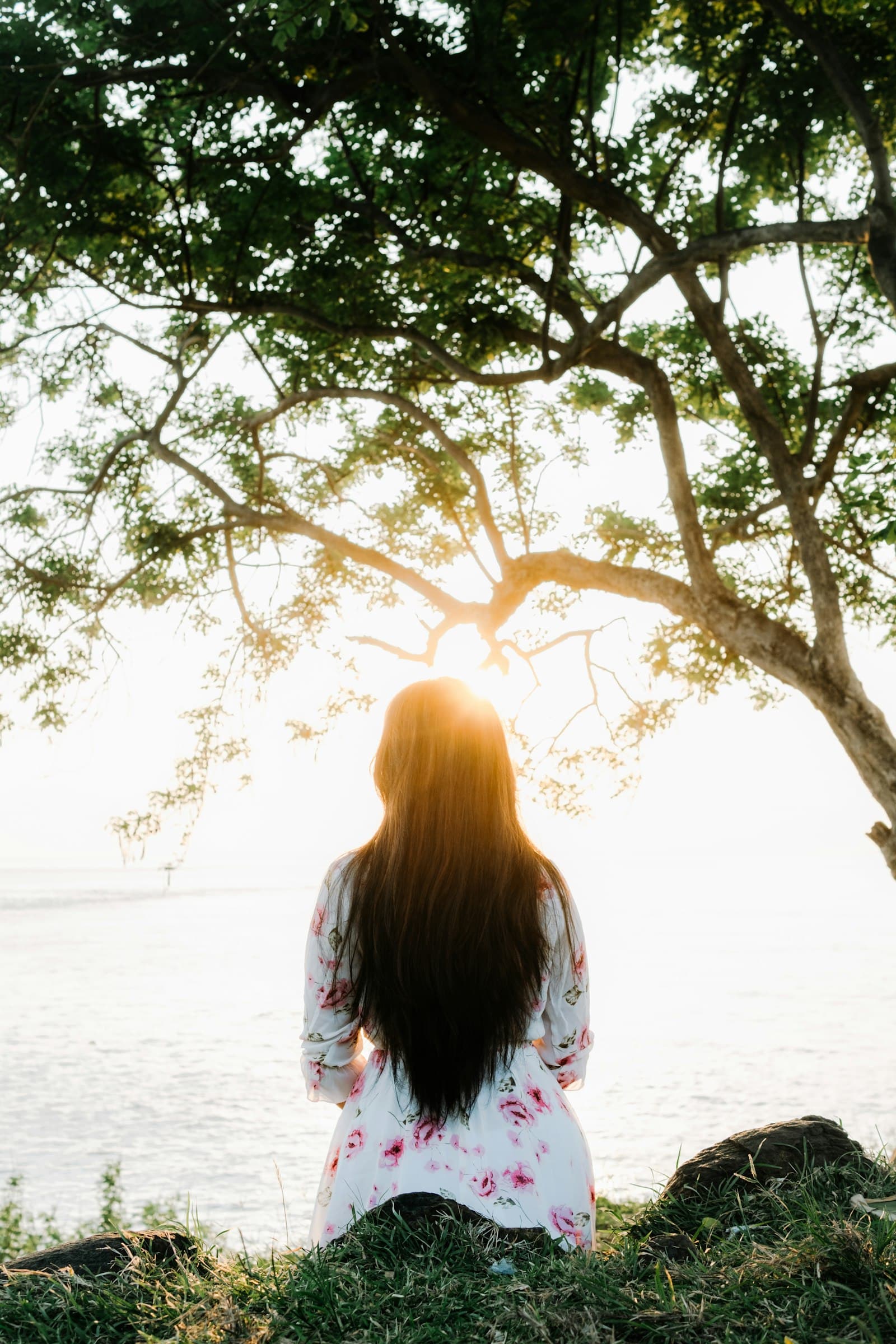Yoga e meditação na natureza