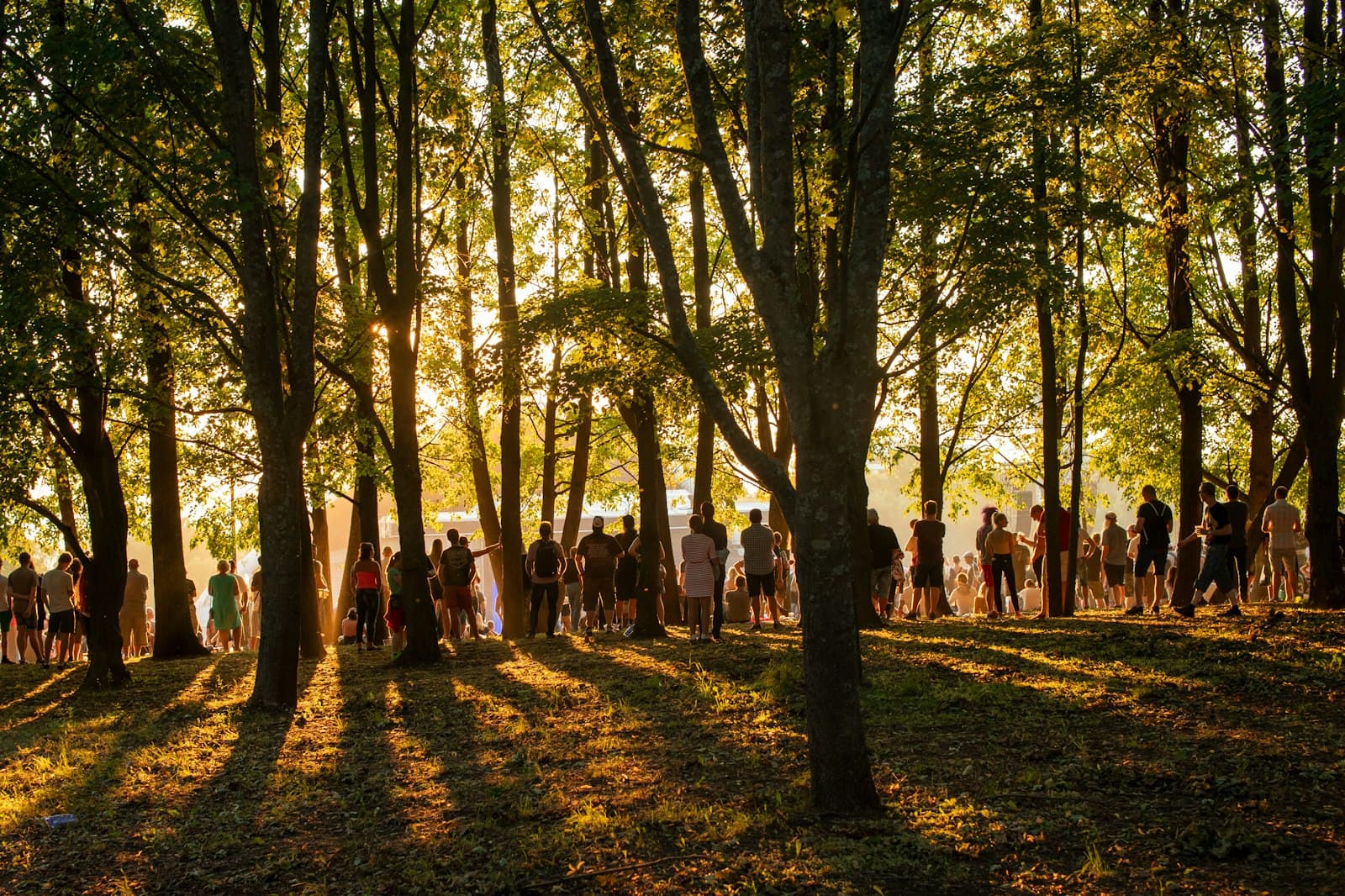 Encontro de festival entre as árvores ao pôr do sol