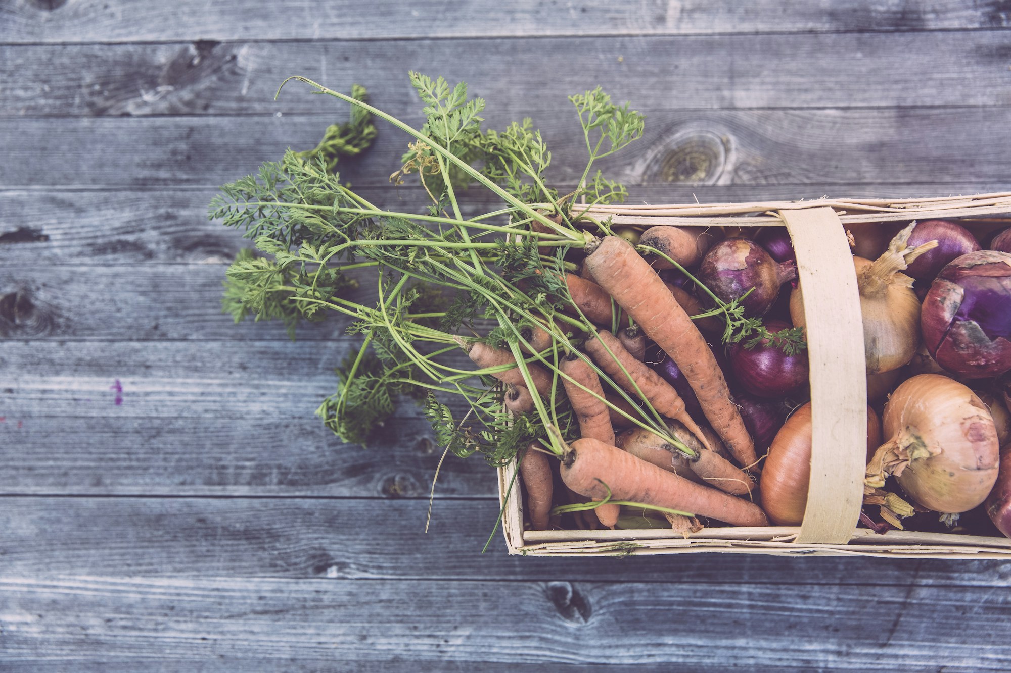 Permaculture — Permanent Culture editorial image