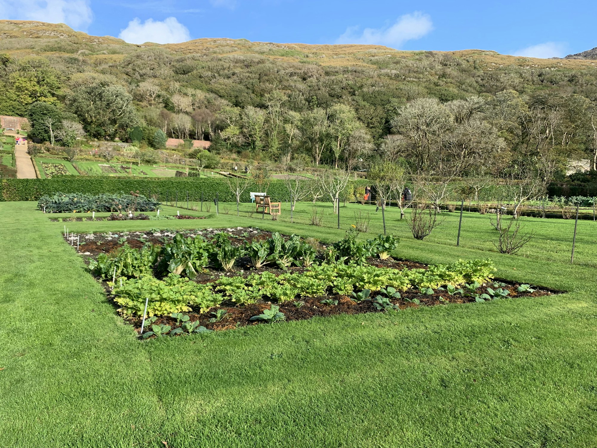 Permaculture — Permanent Culture editorial image